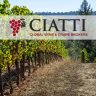 Ciatti Report August2024
