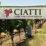 Ciatti Report July 2024