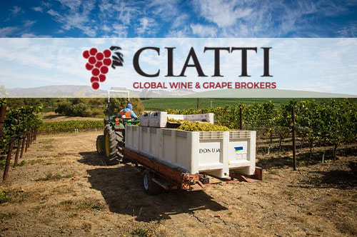 Ciatti California Report - September 2024